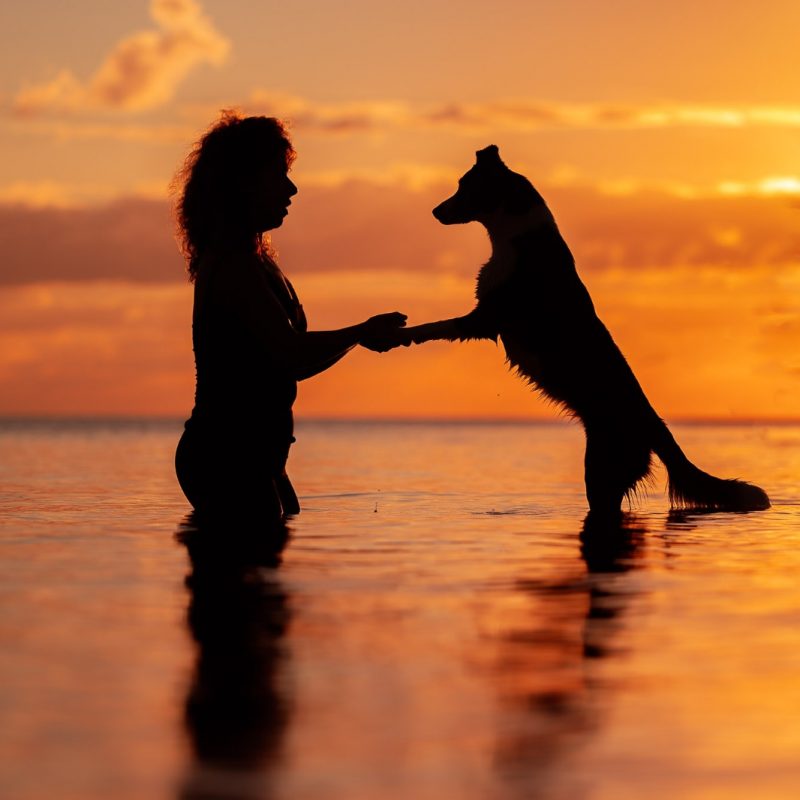 קורס "דיאלוג רגיעה"